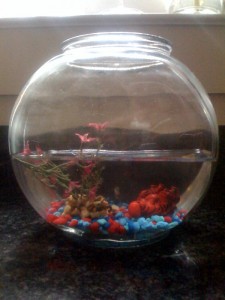 photo2