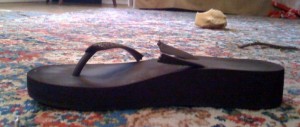 flip-flop-carcass