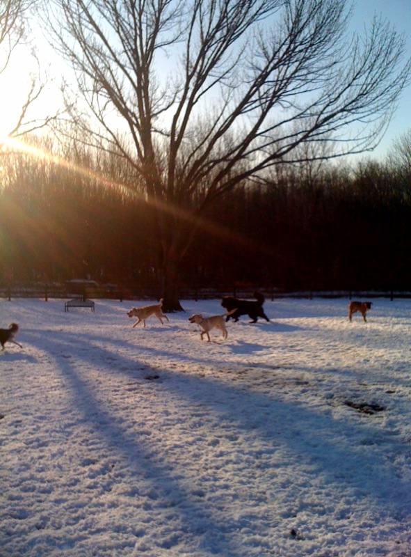 photo(3)