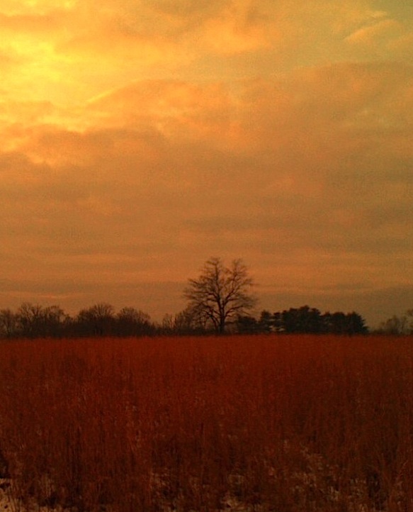 photo(4) photo(4)