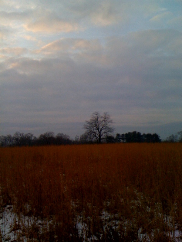photo(5) photo(5)